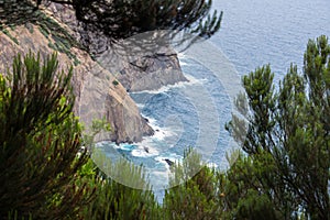 Madeira coastline cliffs Hiking small trail sea