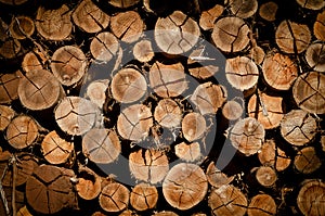 Ready-to-use stacked eucalyptus logs. Texture image photo