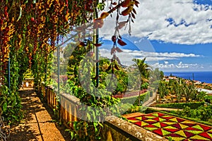 Madeira island, Botanical Garden Monte, Funchal, Portugal