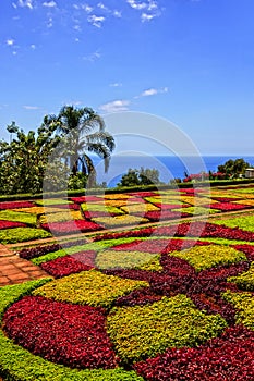 Madeira island landscape, Portugal Botanical Garden