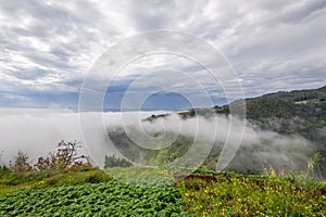 Madeira island mountain landscape view from Levada Nova hike.