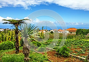 Madeira island, Portugal rural scenery, Village Santana