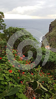 Madeira Island, Portugal, Southern Coast
