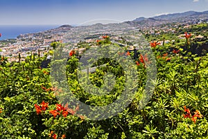 Madeira island Portugal typical landscape, Funchal city panorama view from botanical garden, wide angle