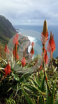 Madeira island's stunning coastline above Paul do Mar, a world class surfing spot