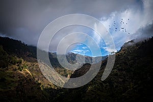 Madeira levade in moutains in nature park