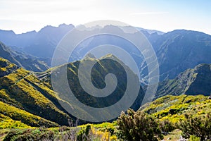 Madeira mountain yellow landscape in Portugal.