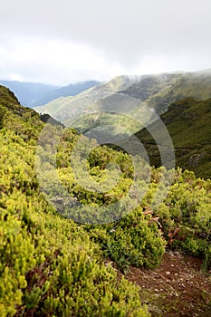 Madeira Mountains photo