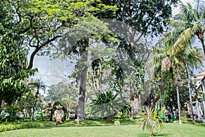 Madeira\'s botanical gardens, of the city of in Funchal on Madeira Island,