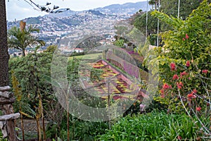 Madeira\'s botanical gardens, of the city of in Funchal on Madeira Island,