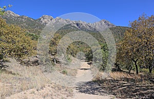 Madera Canyon Trail photo