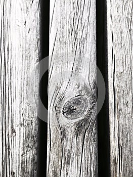 Textura madera. Wood texture photo