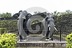 Two life size masonry black stone elephants sculpture inside Madikeri Fort in Coorg Karnataka India