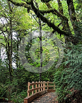 Madison Falls, Elwa River