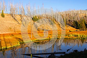 Madison river