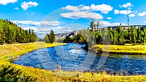 The Madison River as it flows through the western most part of Yellowstone National Park