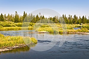 Madison river near West Yellowstone