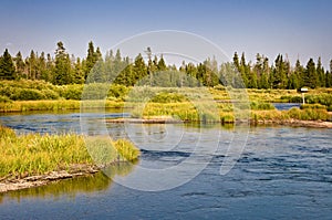 Madison river near West Yellowstone, Montana USA