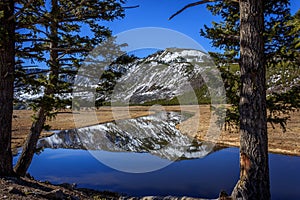 Madison River Reflection