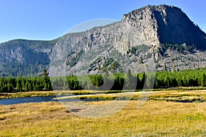 Madison River, Yellowstone National Park