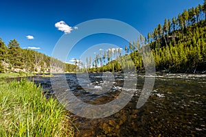 Madison River, Yellowstone National Park, Wyoming