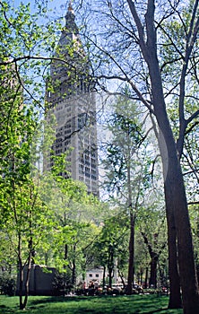 Madison Square Park New York USA