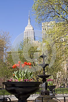 Madison Square Park, NY photo