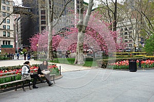 Madison Square Park in Springtime