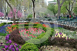 Madison Square Park in Springtime