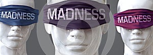 Madness can blind our views and limit perspective - pictured as word Madness on eyes to symbolize that Madness can distort