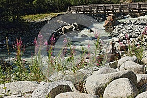 Madonna di Campiglio the pearl of the Brenta dolomites in Trentino