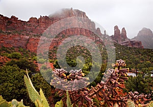 Madonna Nuns Red Rock Canyon Rain Sedona Arizona