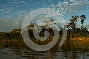 Madre de Dios river in Manu National park with scenery of tropical rain forest in the Peruvian amazonia, wallpaper