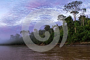 Madre de Dios river in Manu National park with scenery of tropical rain forest in the Peruvian amazonia, wallpaper