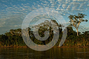 Madre de Dios river in Manu National park with scenery of tropical rain forest in the Peruvian amazonia, wallpaper