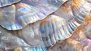 Madreperla: Texture di conchiglie iridescenti