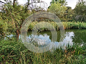 Madrid, Spain, a beautiful view of the picturesque reflection  of trees in the Manzanares River photo