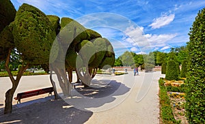 Madrid, Spain. The Buen Retiro Park. Botanical garden, park photo