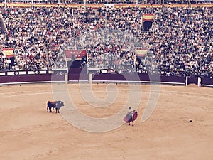 Madrid Spain Las Vendas Bull Fight photo