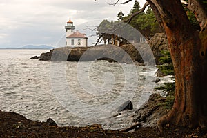 Madrona Tree Lime Kiln Lighthouse San Juan Island Haro Strait