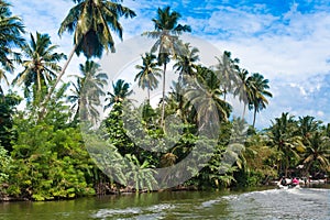 Madu River Safari, beautiful tropical riverbank. Beautiful palm trees against the sky with colorful clouds. boats with tourists on