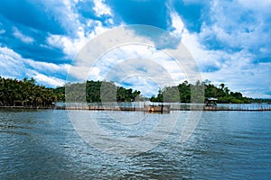 Madu River Safari, beautiful tropical riverbank. fish farm fence.