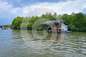 Madu River Safari, beautiful tropical riverbank. market on the water that sells coconuts