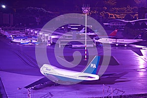 Madurodam by Light 2007