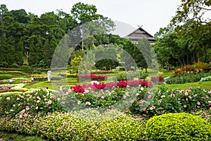 Mae Fah Luang flower garden