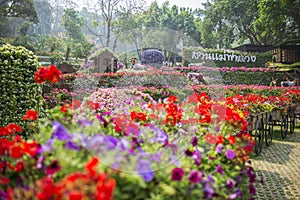 Mae Fah Luang Garden. Chiangrai ,Thailand photo