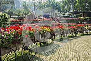 Mae Fah Luang Garden. Chiangrai ,Thailand photo