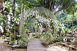 Mae Fah Luang Garden,Doi Tung