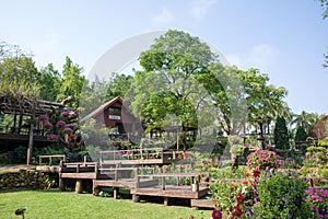 Mae Fah Luang Garden, DoiTung photo