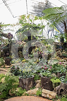 Mae Fah Orchids Garden house